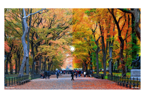 Lunette Oakley Sutro Matte Carbon Prizm 24K OO9406-0537