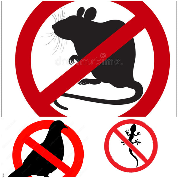 COMBO CARABINE 4,5MM 19,9 JOULES + LUNETTE + 500 MUNITIONS