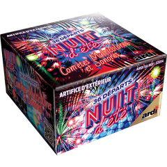 FEUX D'ARTIFICE NUIT D'ETE ARDI 22014