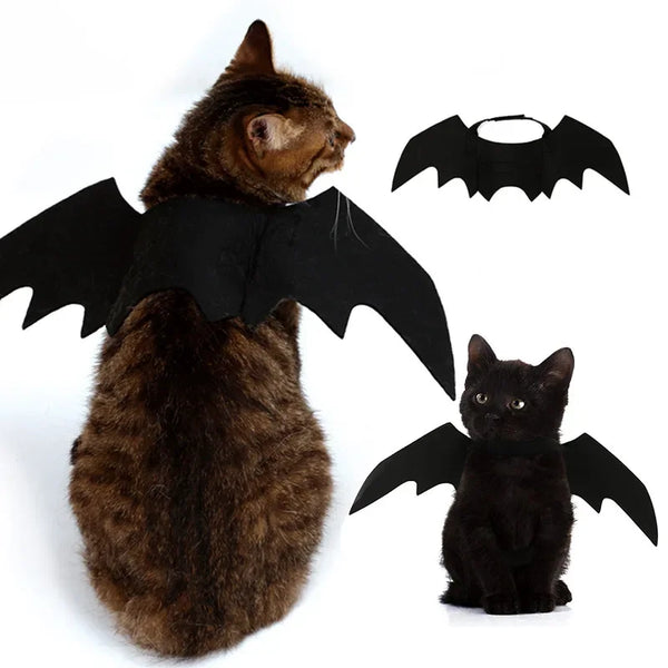 AILE DE DRAGON POUR CHAT