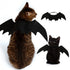 AILE DE DRAGON POUR CHAT